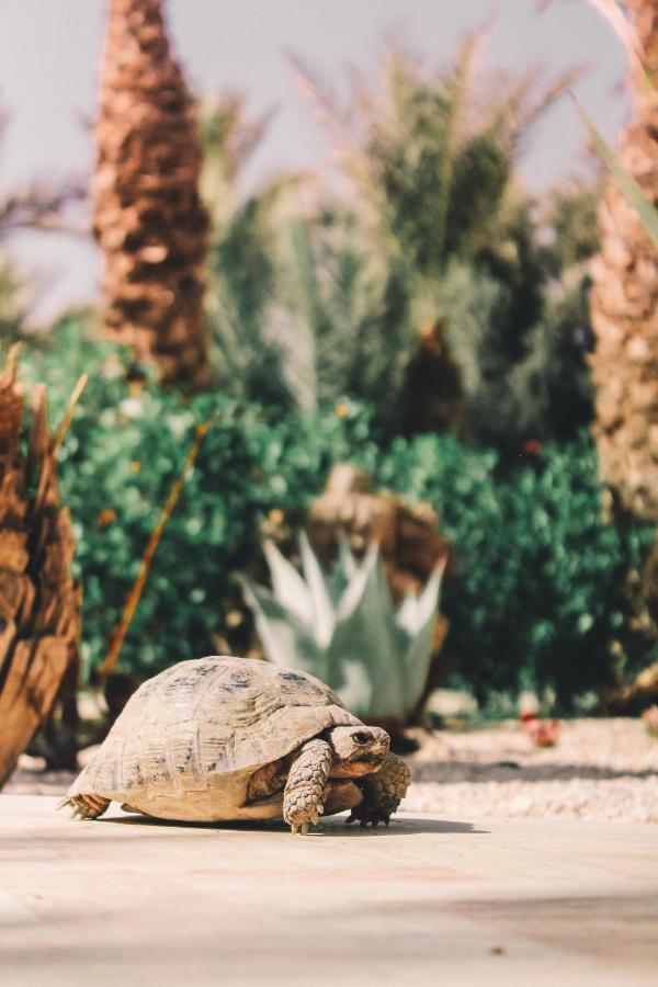 Riad Le Jasmin Taroudant Luaran gambar