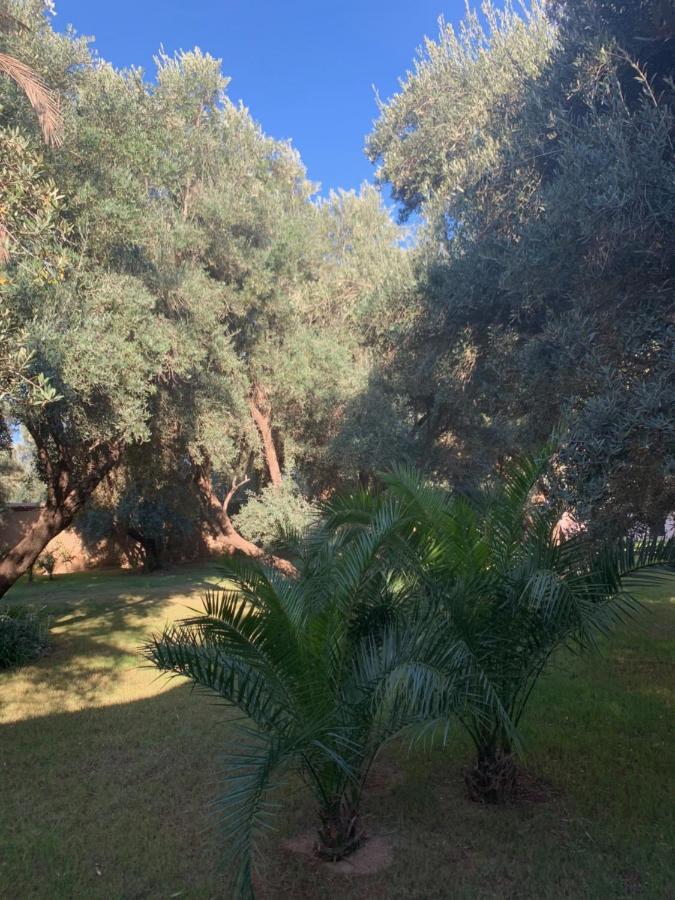 Riad Le Jasmin Taroudant Luaran gambar