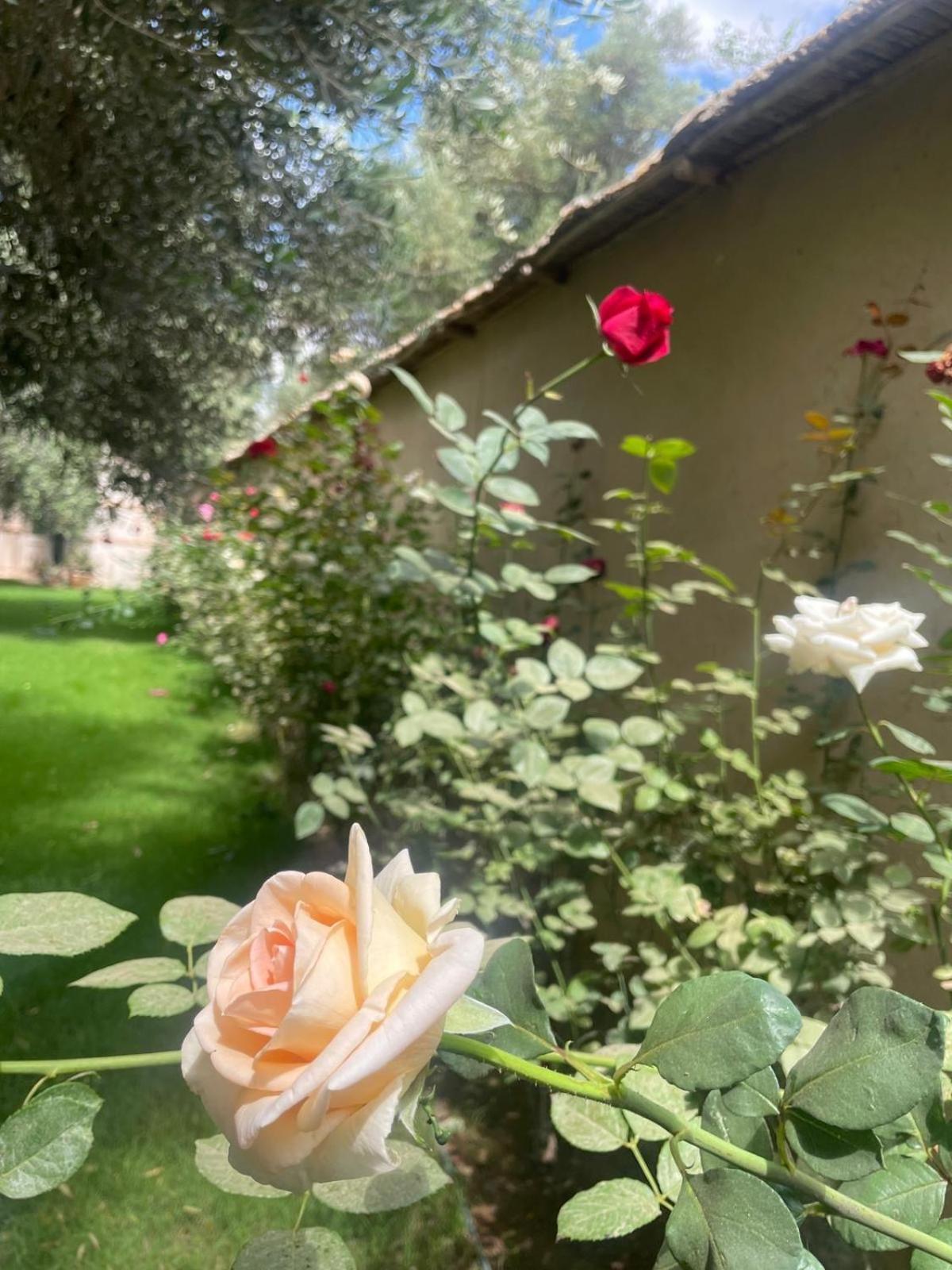 Riad Le Jasmin Taroudant Luaran gambar