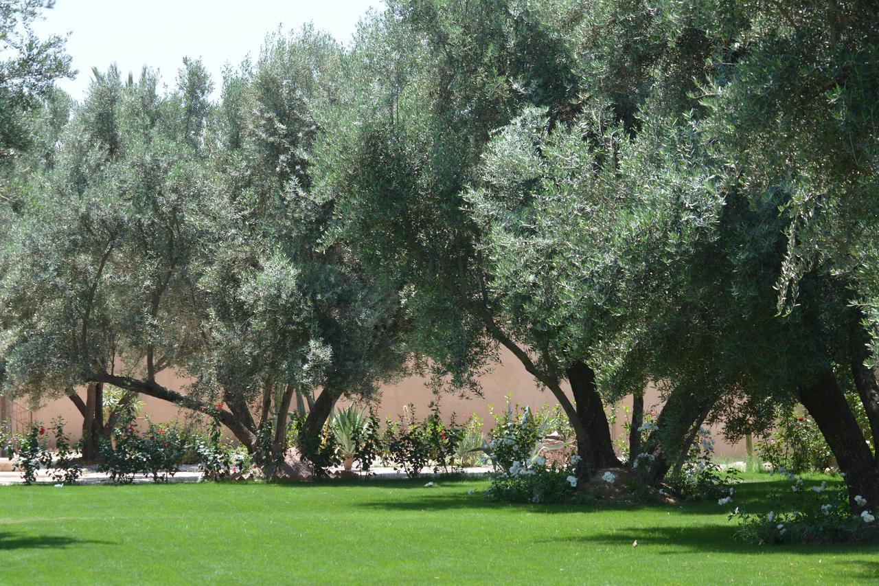 Riad Le Jasmin Taroudant Luaran gambar