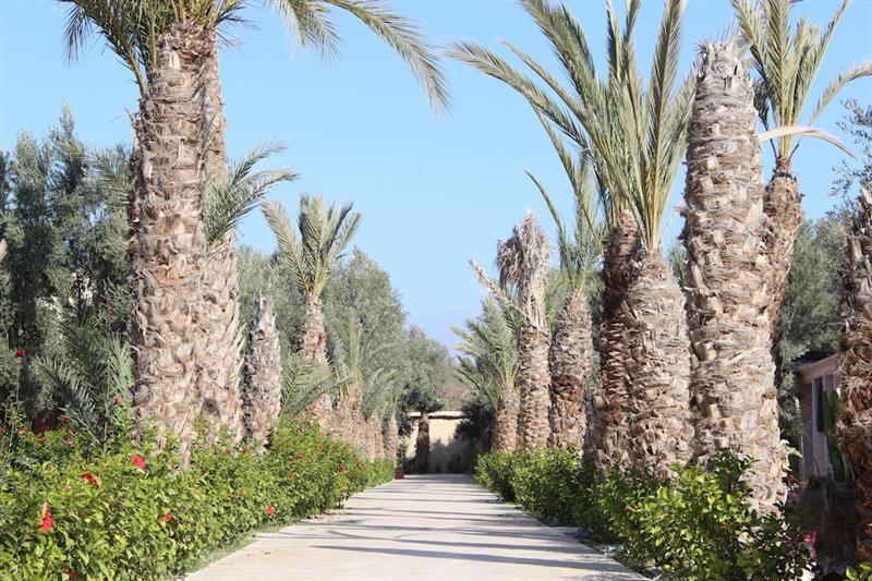 Riad Le Jasmin Taroudant Luaran gambar